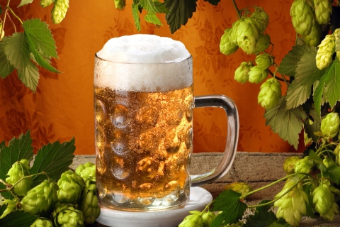 Das Cold Czech Beer Wallpaper 480x320