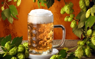 Cold Czech Beer Wallpaper for Android, iPhone and iPad