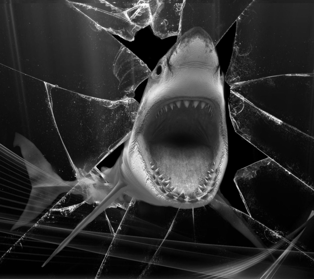 Fondo de pantalla Shark 1080x960