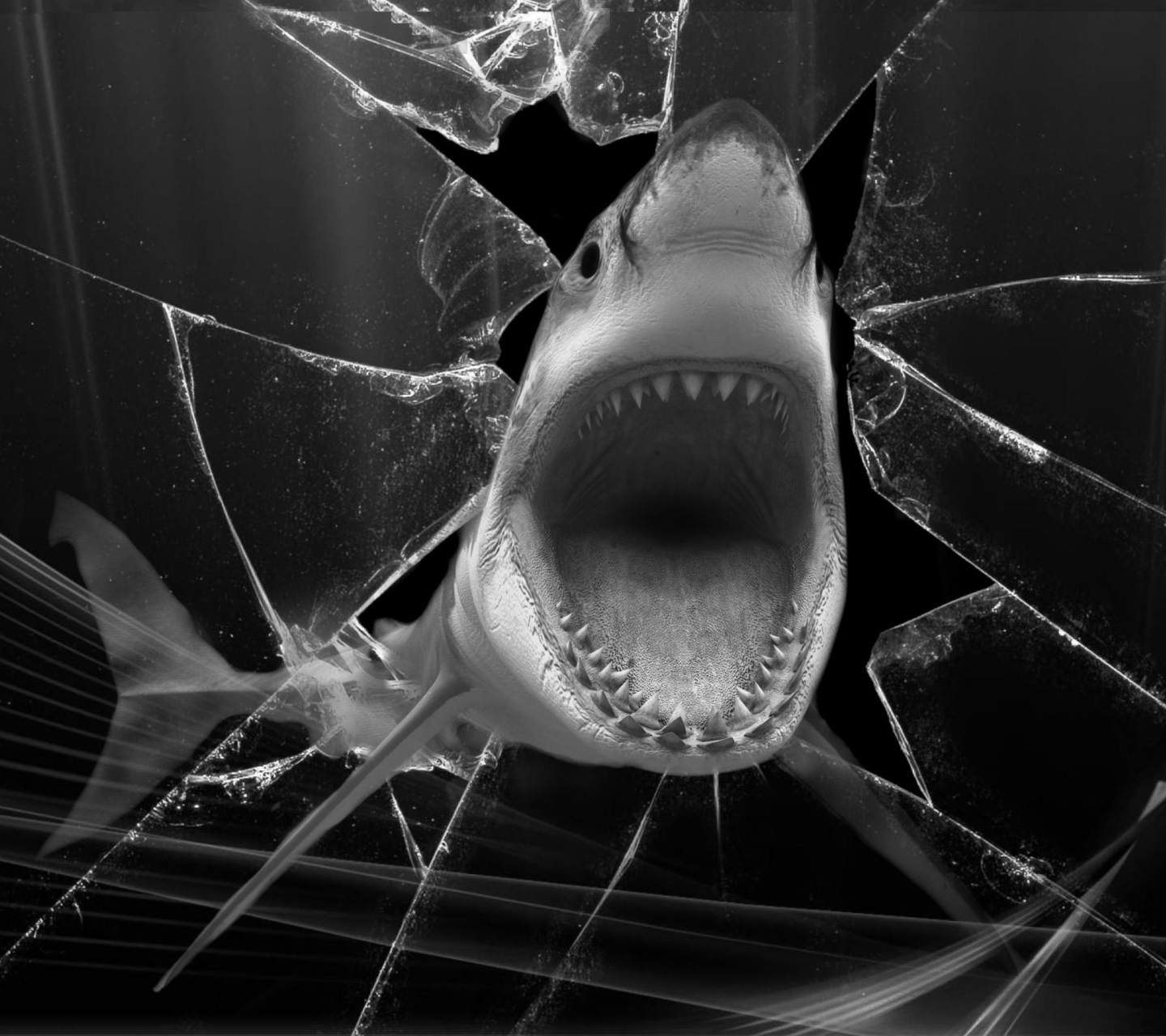 Screenshot №1 pro téma Shark 1440x1280