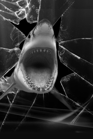 Shark screenshot #1 320x480