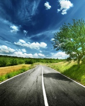 Romantic Road wallpaper 176x220