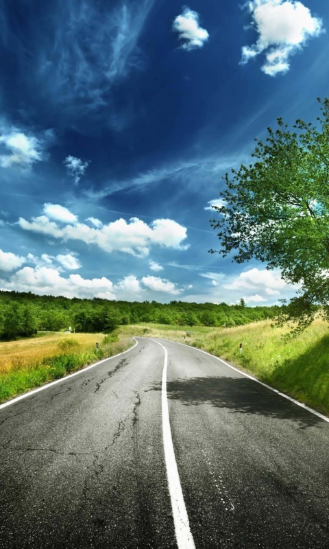 Romantic Road wallpaper 480x800