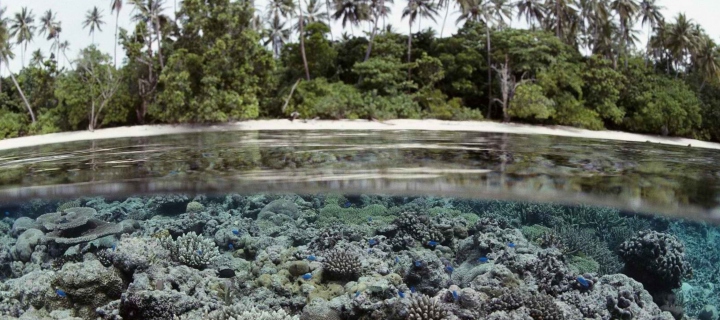 Split View, Solomon Islands загрузить