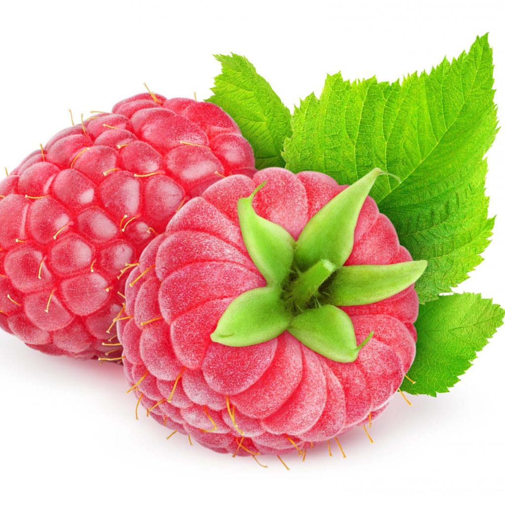 Raspberries wallpaper 1024x1024