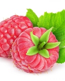 Raspberries wallpaper 128x160