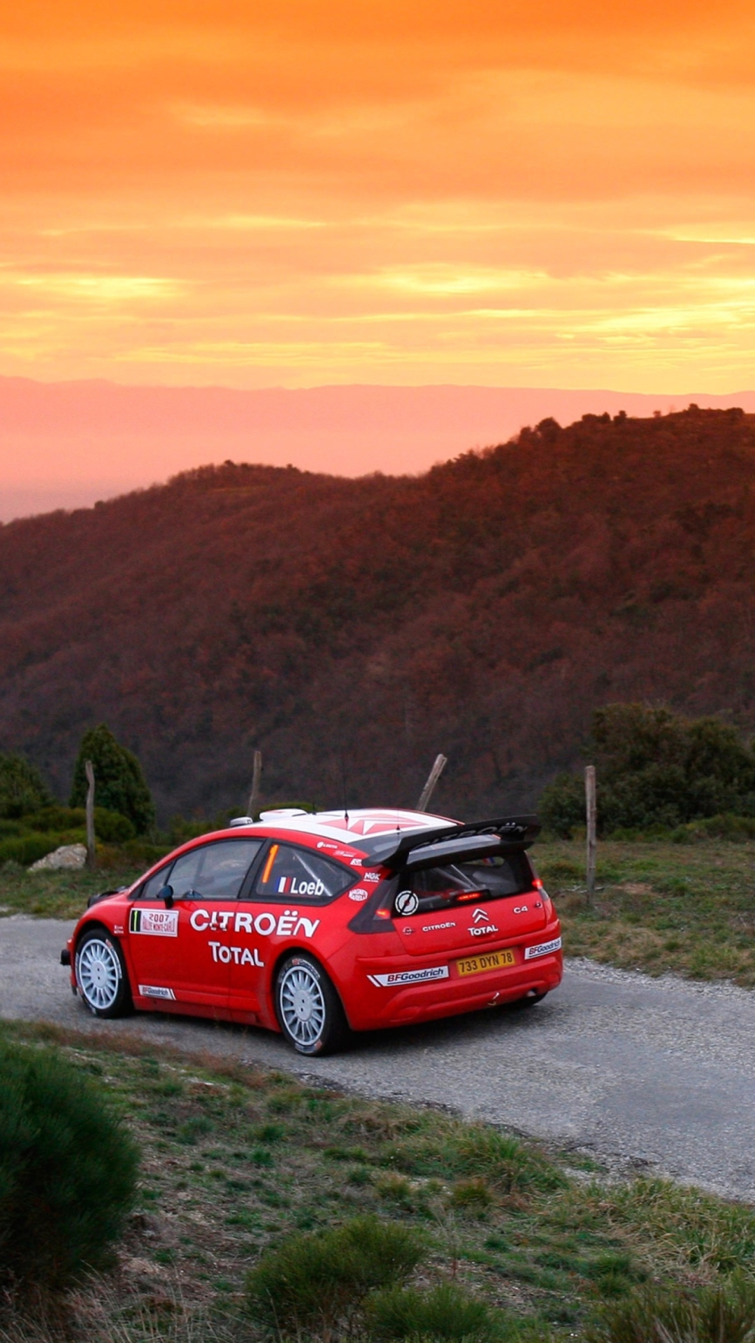 Citroen C4 WRC screenshot #1 1080x1920