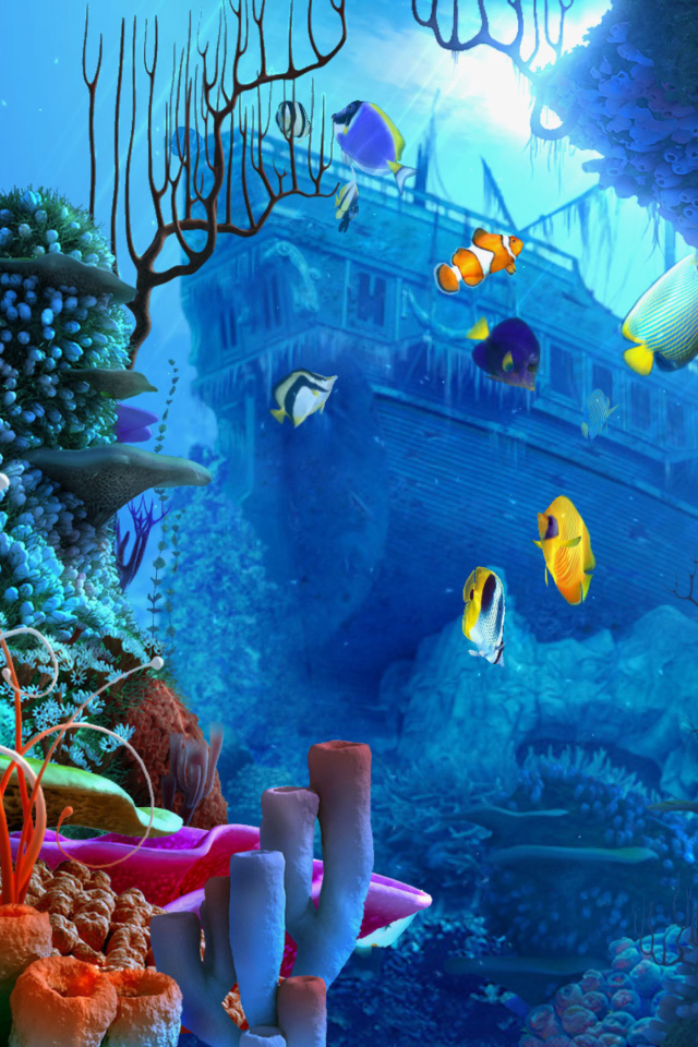 Das Aquarium Coral Wallpaper 640x960