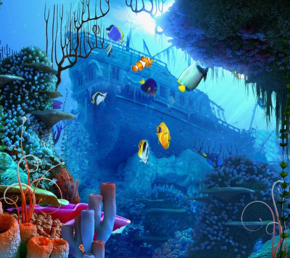 Das Aquarium Coral Wallpaper 960x854