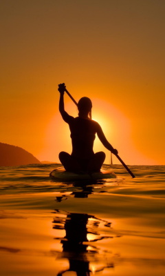 Das Sunset Surfer Wallpaper 240x400