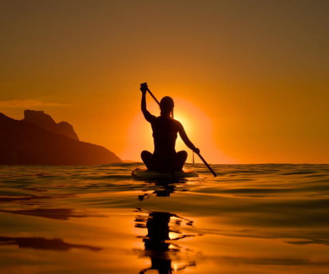 Sunset Surfer wallpaper 480x400