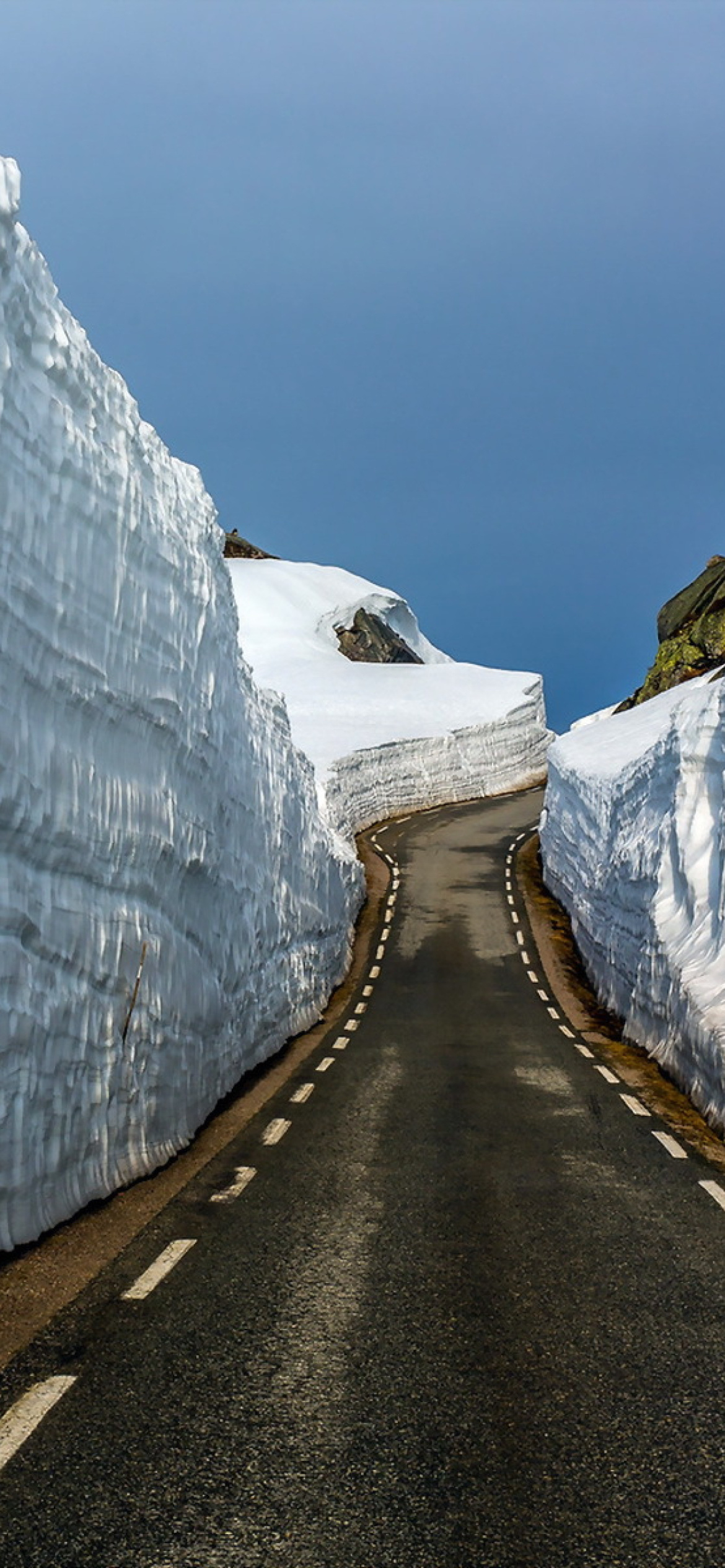 Fondo de pantalla Road in Glacier 1170x2532