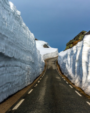 Road in Glacier wallpaper 176x220