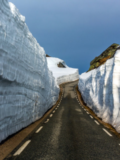 Das Road in Glacier Wallpaper 240x320