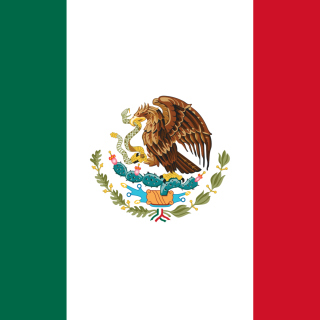 Kostenloses Flag of Mexico Wallpaper für iPad mini