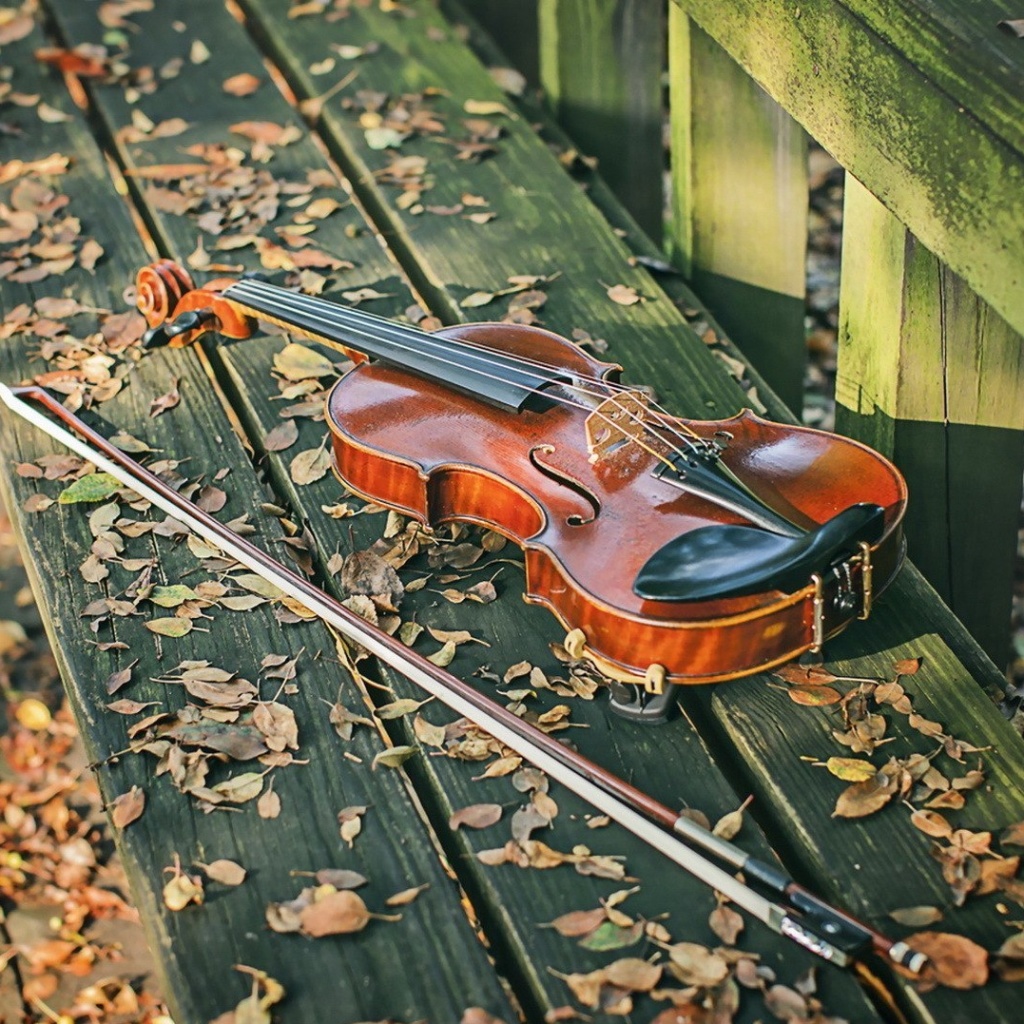 Violin on bench wallpaper 1024x1024