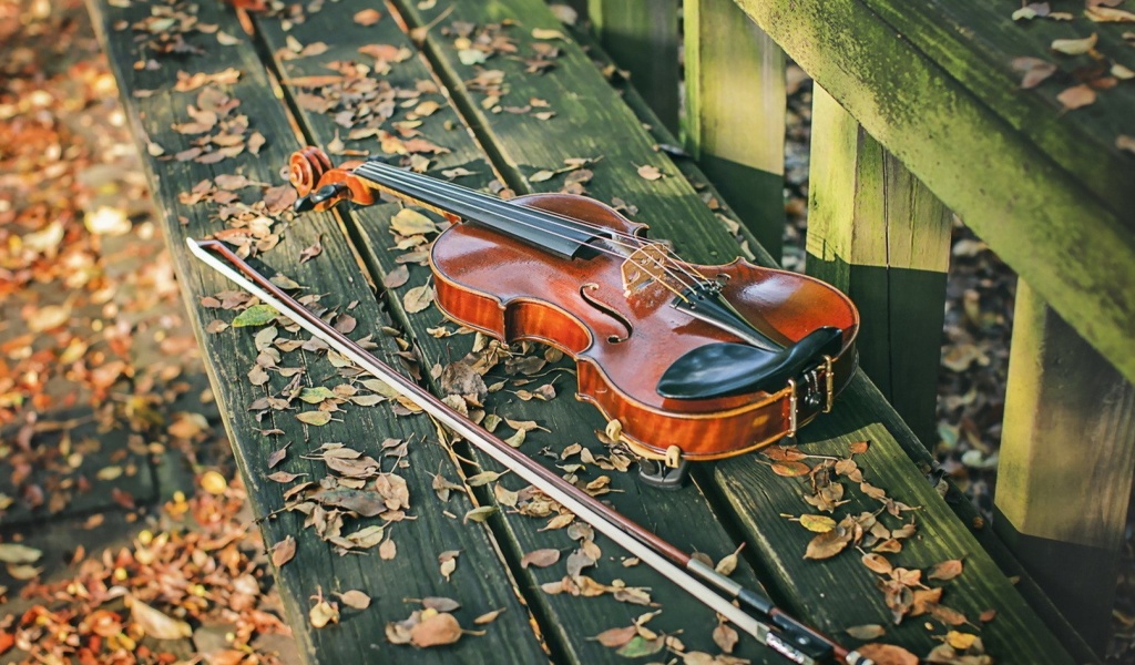 Violin on bench wallpaper 1024x600