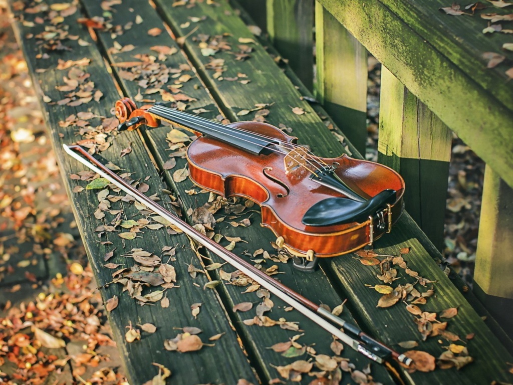 Violin on bench wallpaper 1024x768