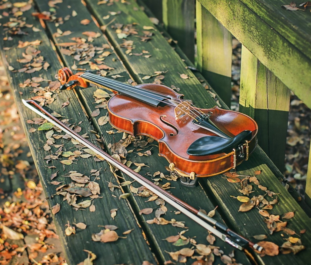 Обои Violin on bench 1200x1024