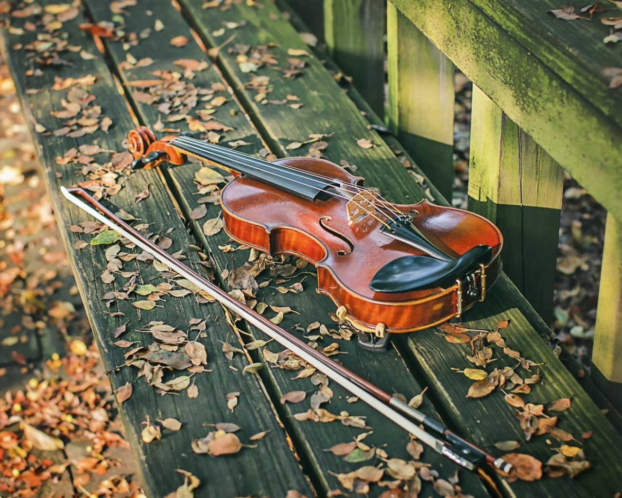 Violin on bench wallpaper 1280x1024