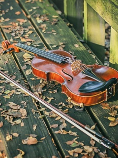 Обои Violin on bench 240x320
