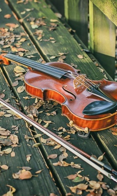 Das Violin on bench Wallpaper 240x400