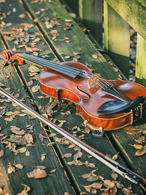 Обои Violin on bench 480x640