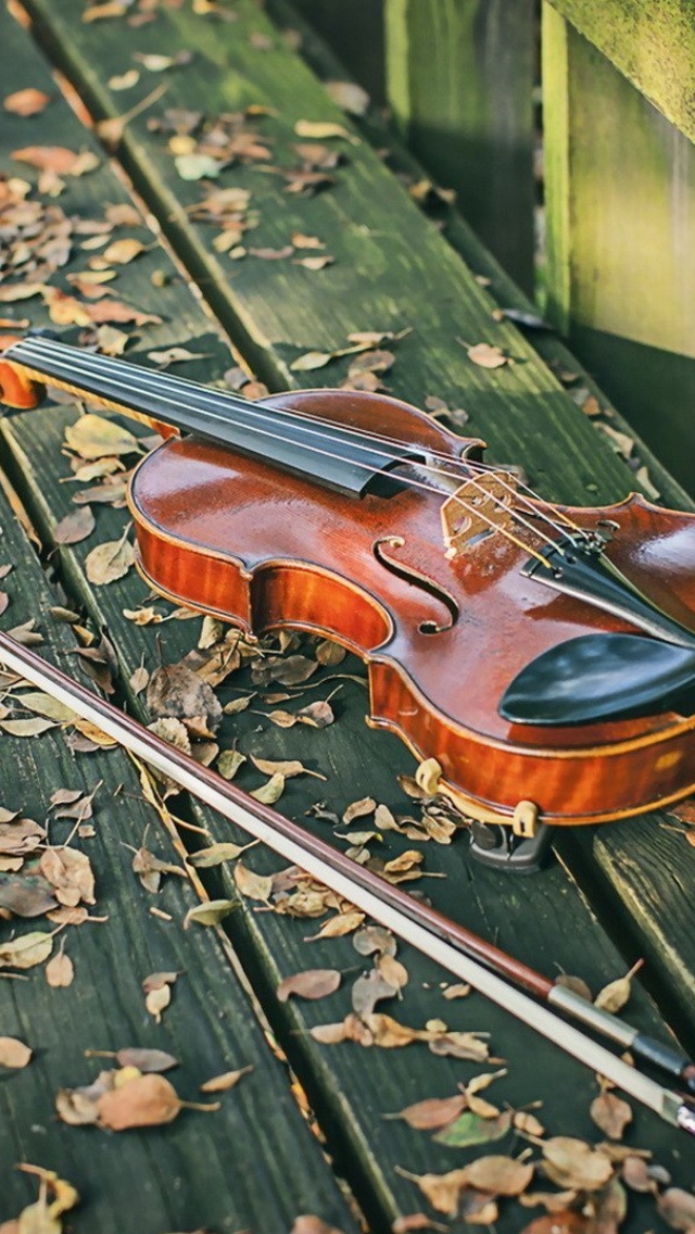 Violin on bench wallpaper 640x1136