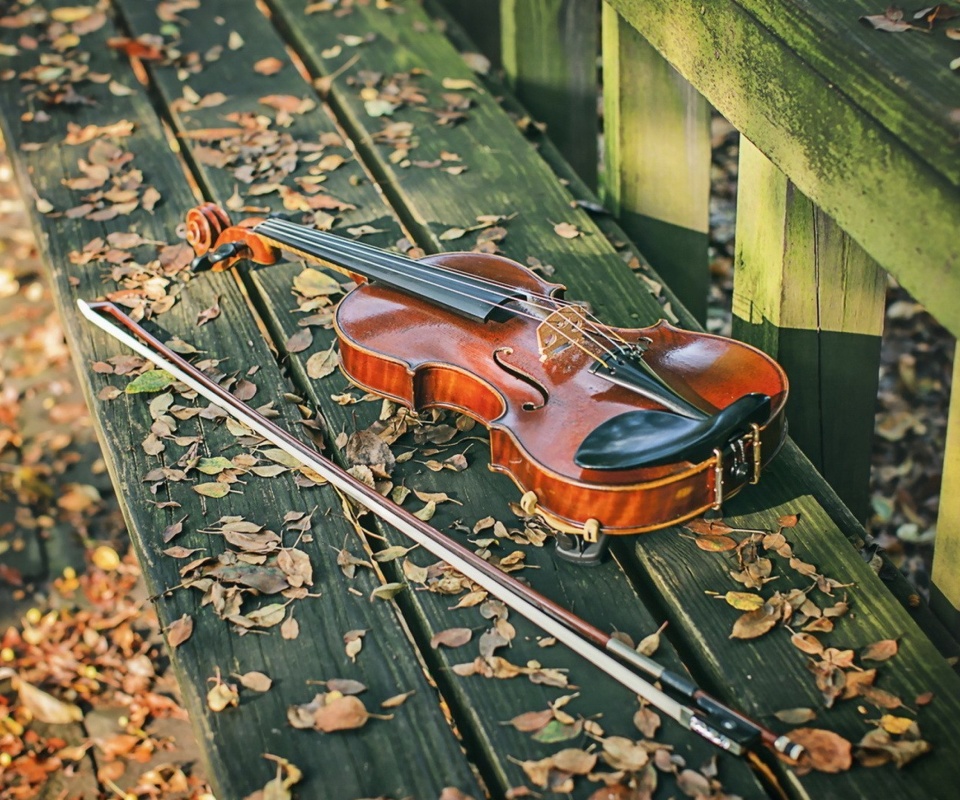Обои Violin on bench 960x800