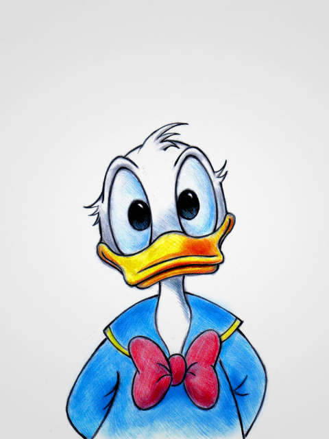 Fondo de pantalla Donald Duck 480x640