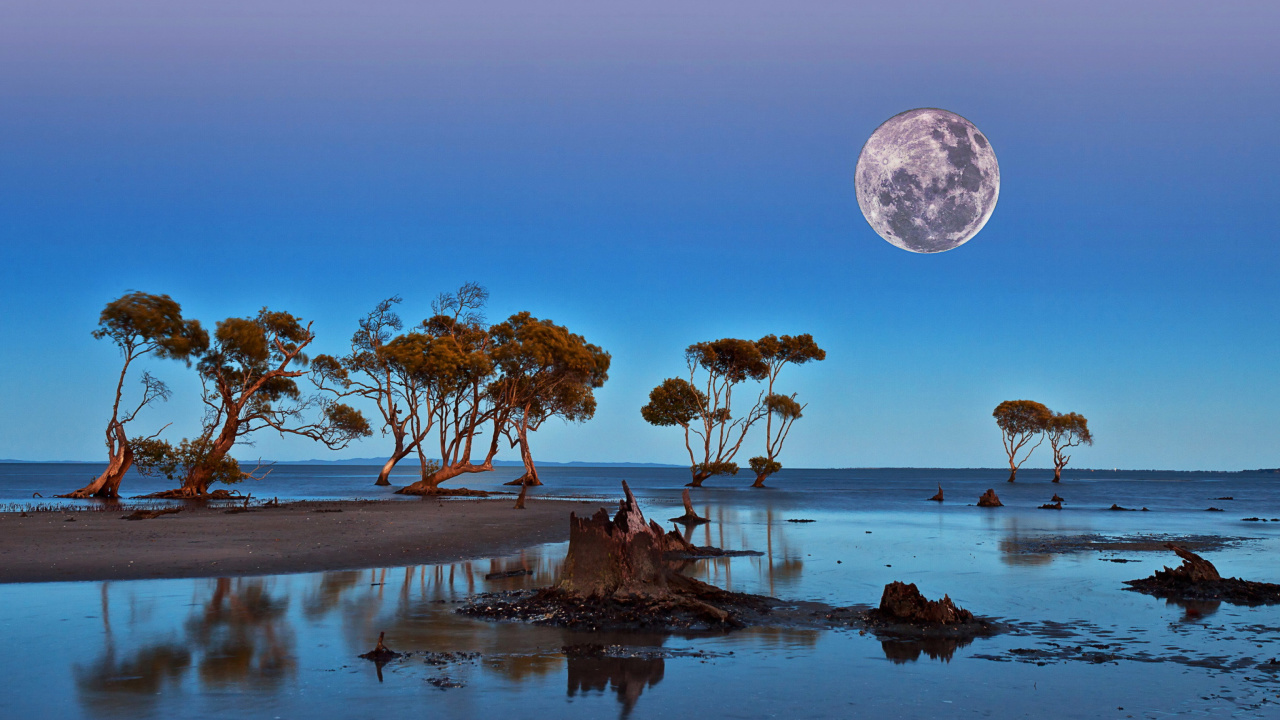 Das Moon Landscape in Namibia Safari Wallpaper 1280x720