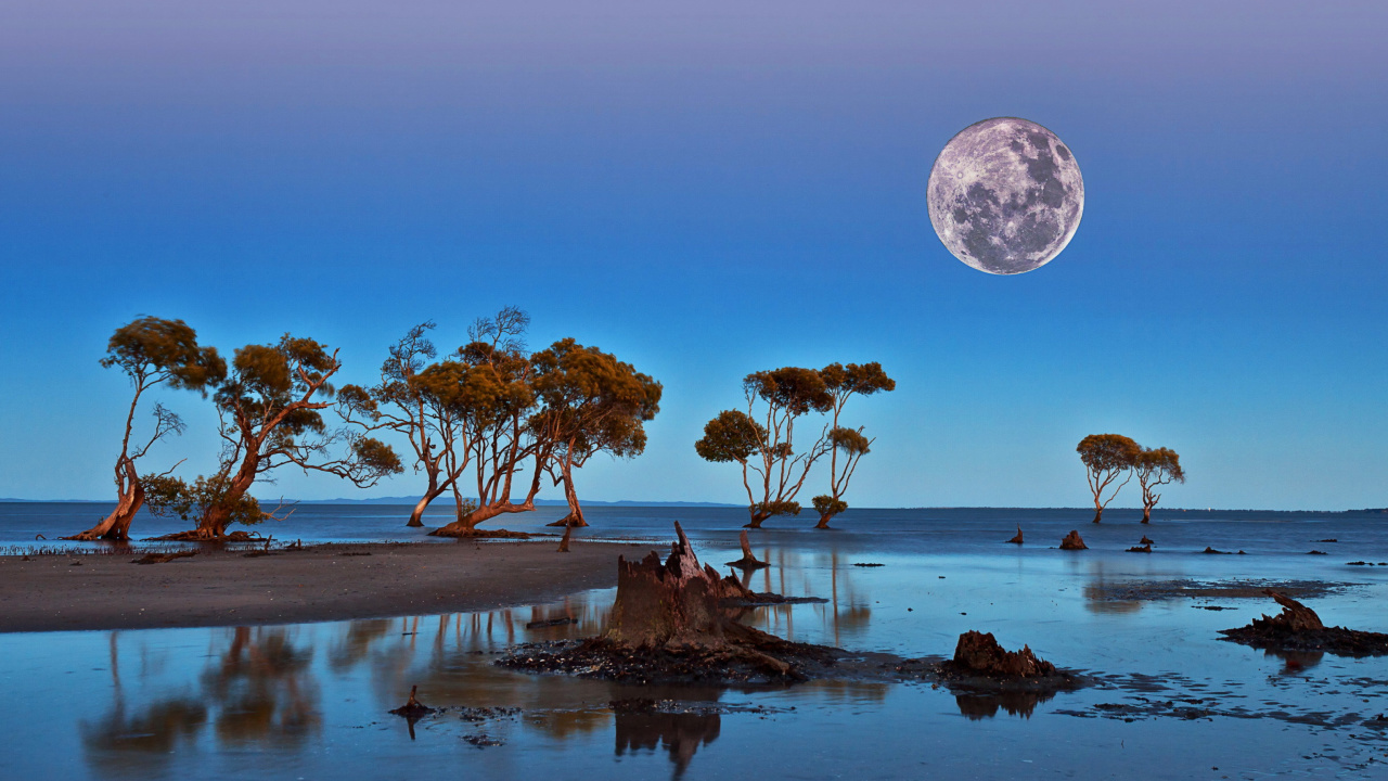 Moon Landscape in Namibia Safari wallpaper 1280x720