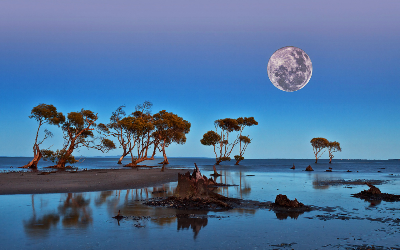 Обои Moon Landscape in Namibia Safari 1280x800