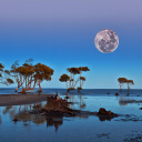 Fondo de pantalla Moon Landscape in Namibia Safari 128x128