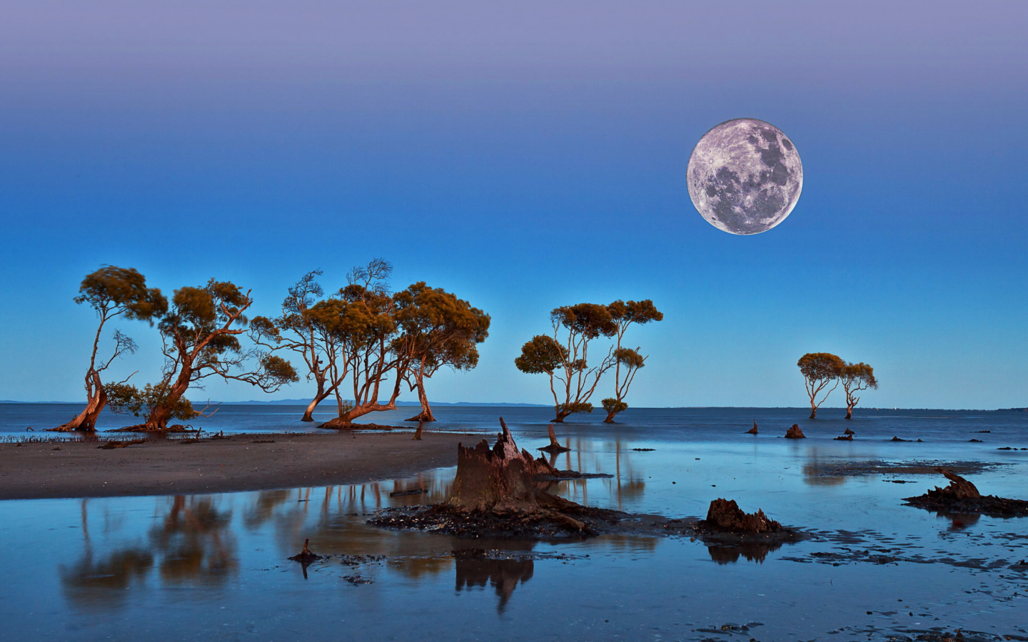 Screenshot №1 pro téma Moon Landscape in Namibia Safari 1440x900