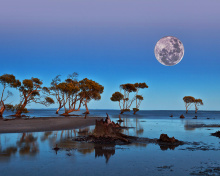 Screenshot №1 pro téma Moon Landscape in Namibia Safari 220x176