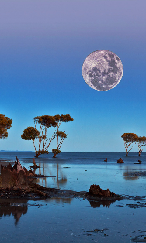 Moon Landscape in Namibia Safari wallpaper 480x800