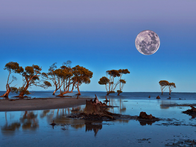 Das Moon Landscape in Namibia Safari Wallpaper 640x480