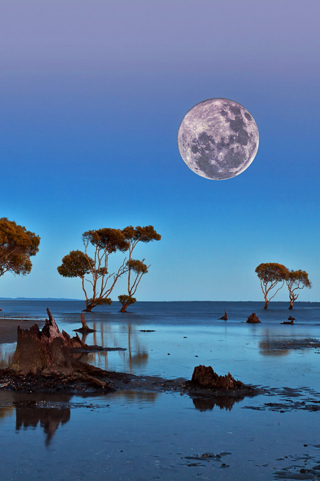 Fondo de pantalla Moon Landscape in Namibia Safari 640x960