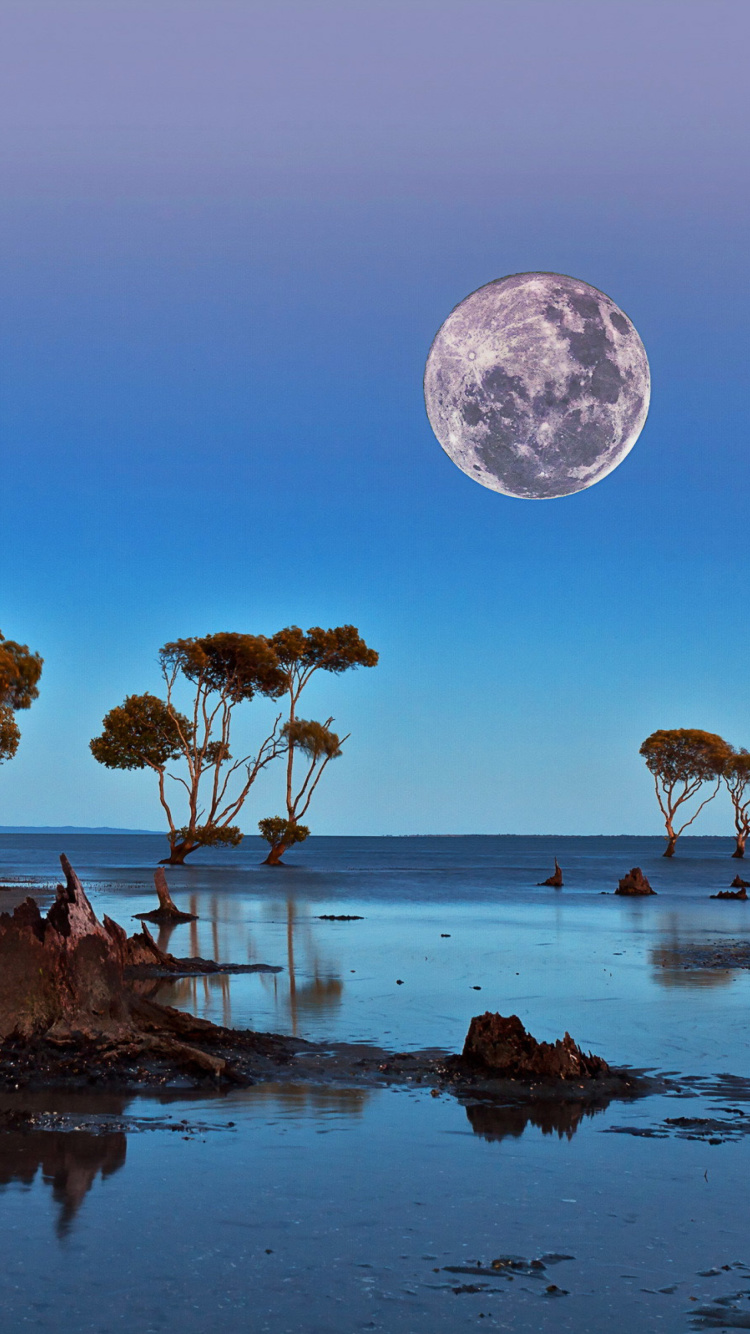 Moon Landscape in Namibia Safari wallpaper 750x1334