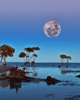 Moon Landscape in Namibia Safari - Fondos de pantalla gratis para Nokia C5-06