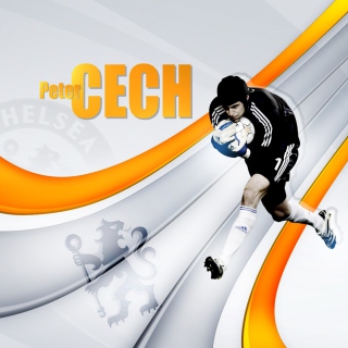 Free Peter Cech Picture for Nokia 6100