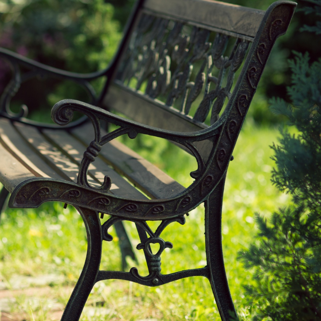 Bench In Park wallpaper 1024x1024