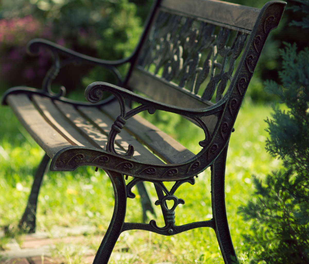 Bench In Park wallpaper 1200x1024