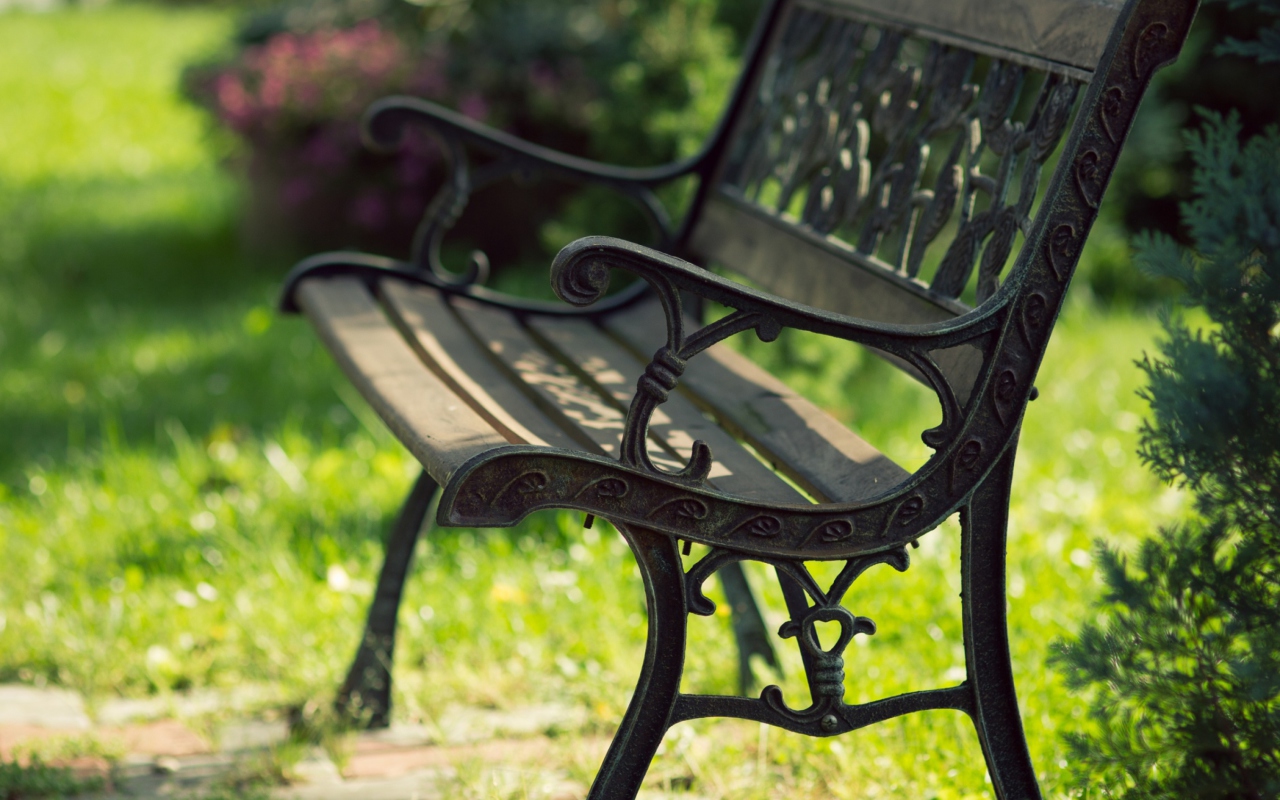 Bench In Park screenshot #1 1280x800