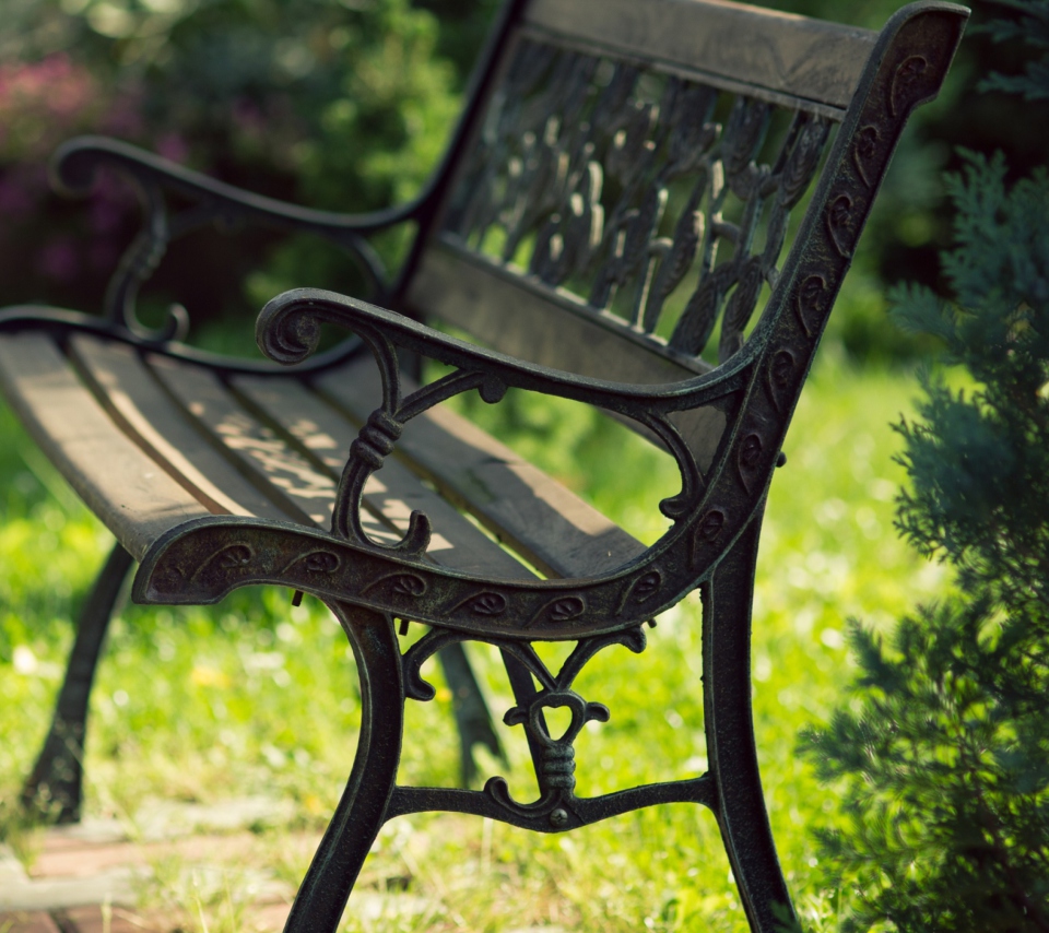 Bench In Park screenshot #1 960x854