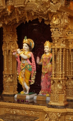 Fondo de pantalla Inside a Hindu Temple 240x400