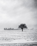 Sfondi Black And White Winter 128x160
