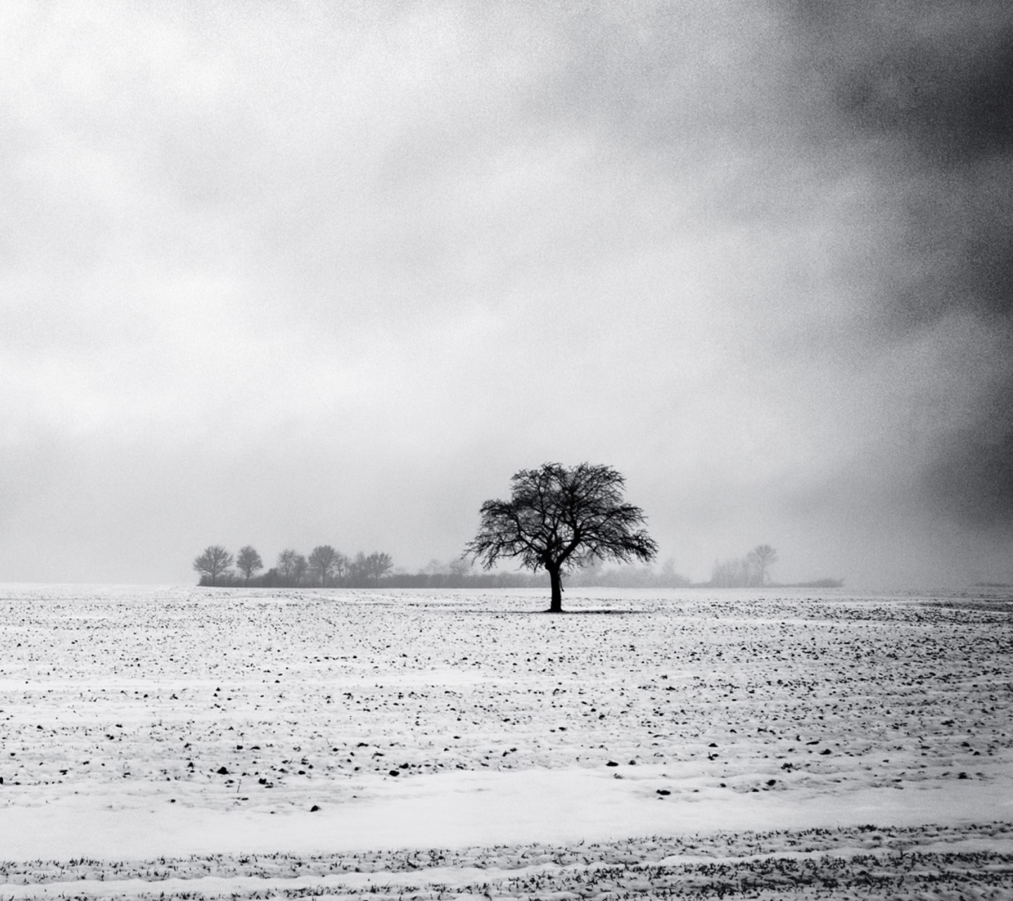 Black And White Winter screenshot #1 1440x1280