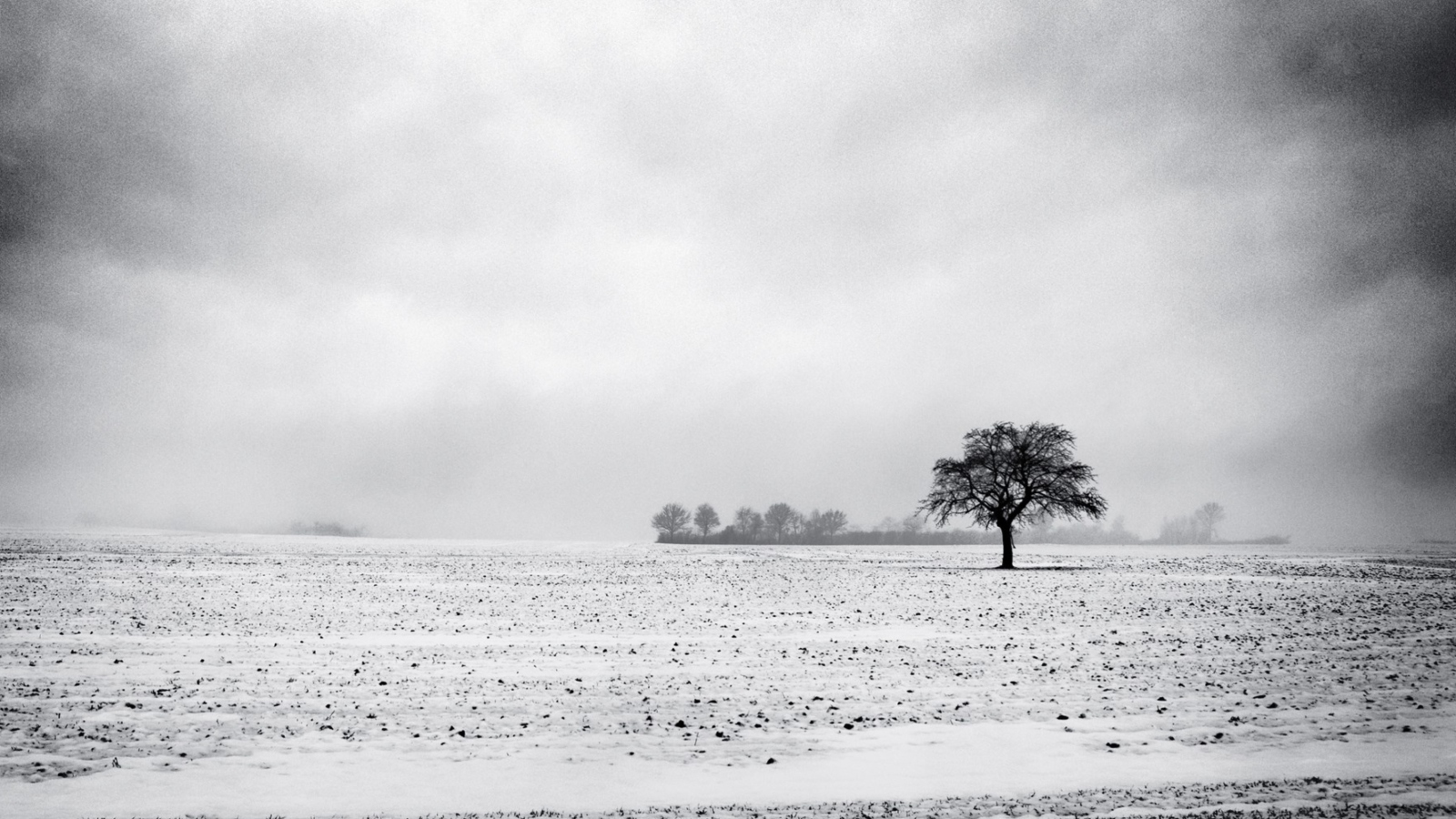 Black And White Winter screenshot #1 1600x900